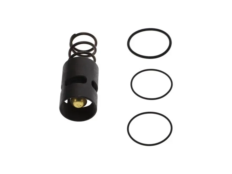 Kit Thermostat 40°C pour compresseur à vis